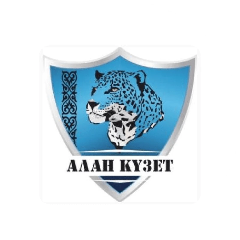 Алан Күзет